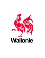 Un nouveau Plan Accessibilité Wallon verra le jour en 2022