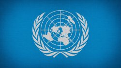 La Convention ONU relative aux droits des personnes handicapées souffle sa 13ème bougie