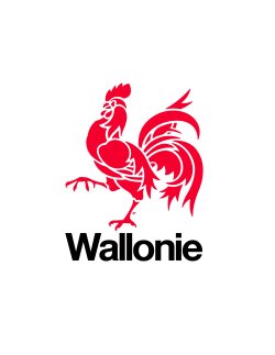 Un nouveau Plan Accessibilité Wallon verra le jour en 2022